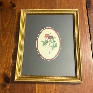 Floral Gold Framed Picture